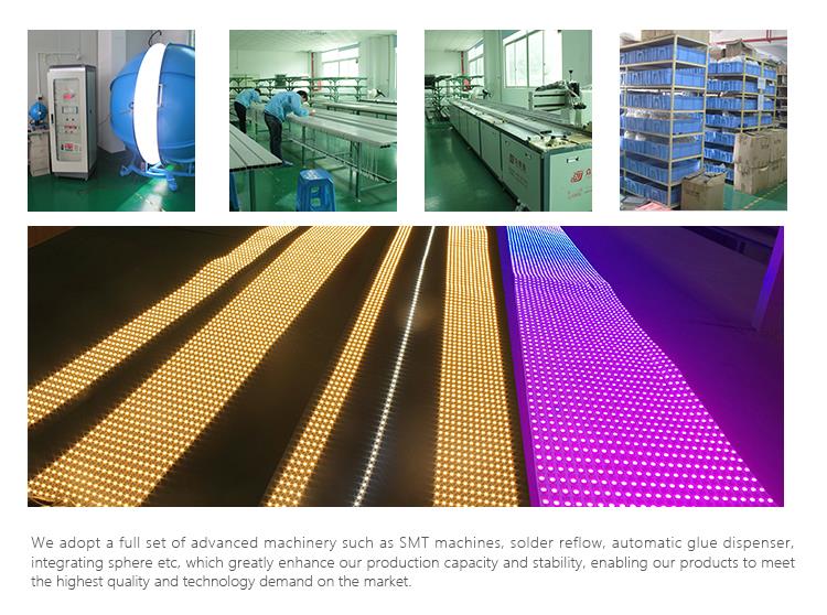 product-596-518 Customized ip68 RGB ws2812b led strip 60led/m