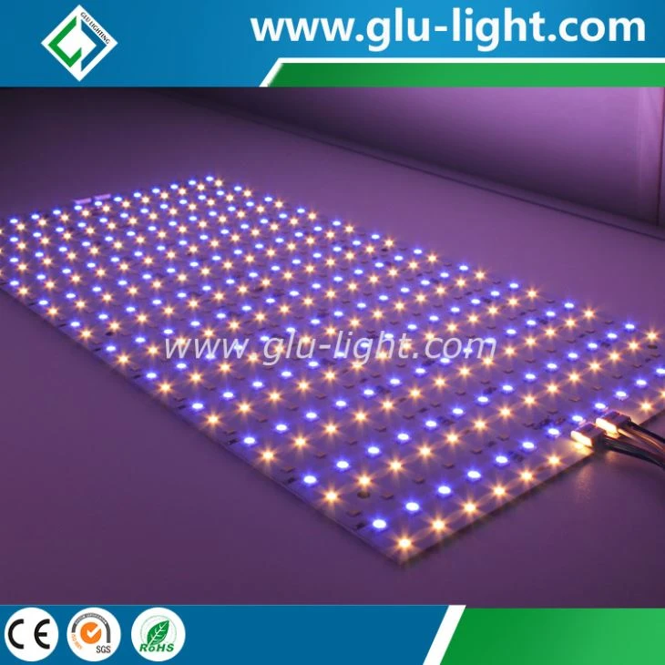 Kína OEM Led Specialist High CRI 24V/48V RGBWWW 5 litir í 1 CRI95 sveigjanlegu LED laki