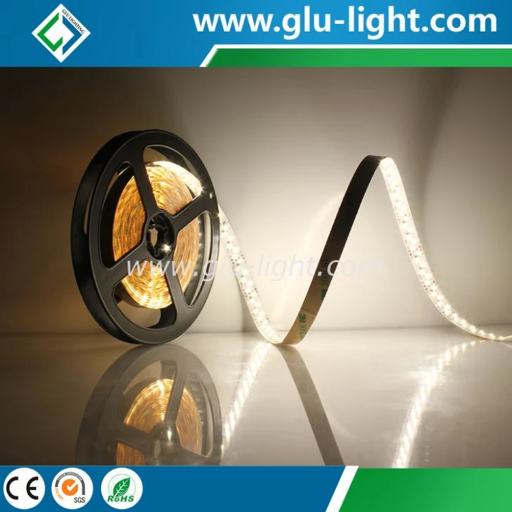 China shenzhen factory 3 year warranty 10mm high density 240led/m 2216 led tape