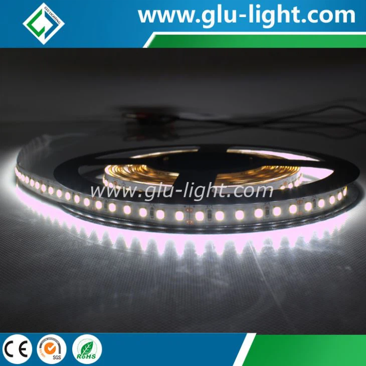 High quality samsung 2835 led tape light with 5 year warranty
